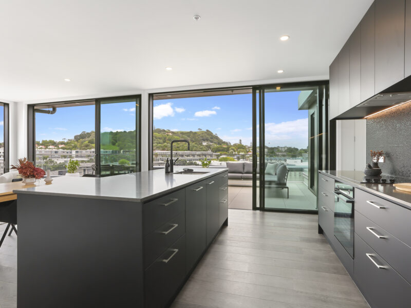 Enfield Sky- Brand New Penthouse
