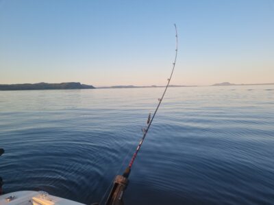 Sweeping Lake View Retreat