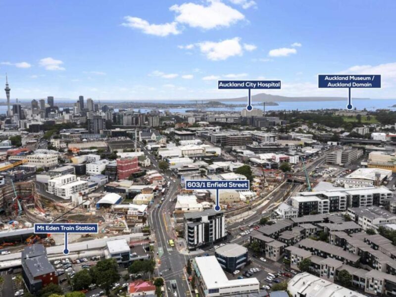 Enfield Sky- Brand New Penthouse