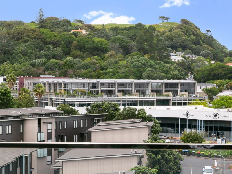 Enfield Sky- Brand New Penthouse