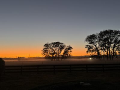 Lake Front Apartment Two Mile Bay