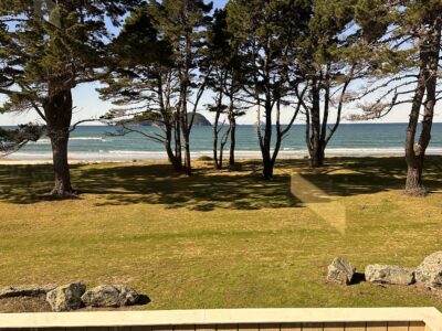 🌴 Beachfront Bliss in Pauanui– 3BR / 3BA Coastal Escape