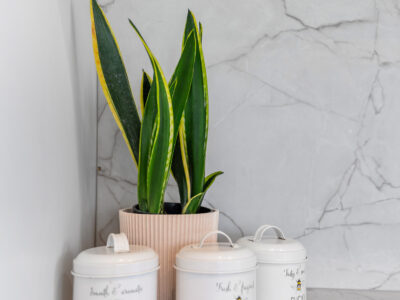 Karapiro Cottage Lake views