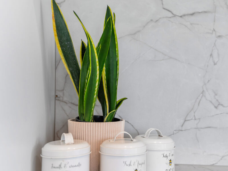 Karapiro Cottage Lake views