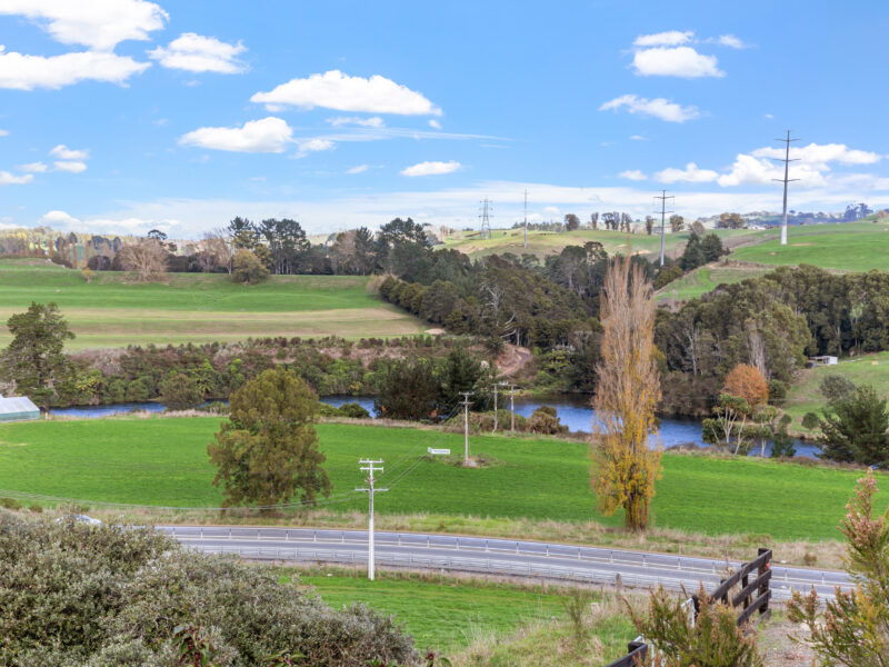 Karapiro Cottage Lake views