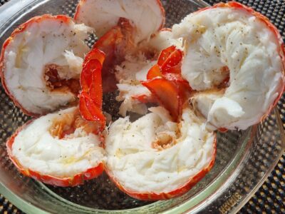 Stewart Island, New Zealand, Accommodation and Charters