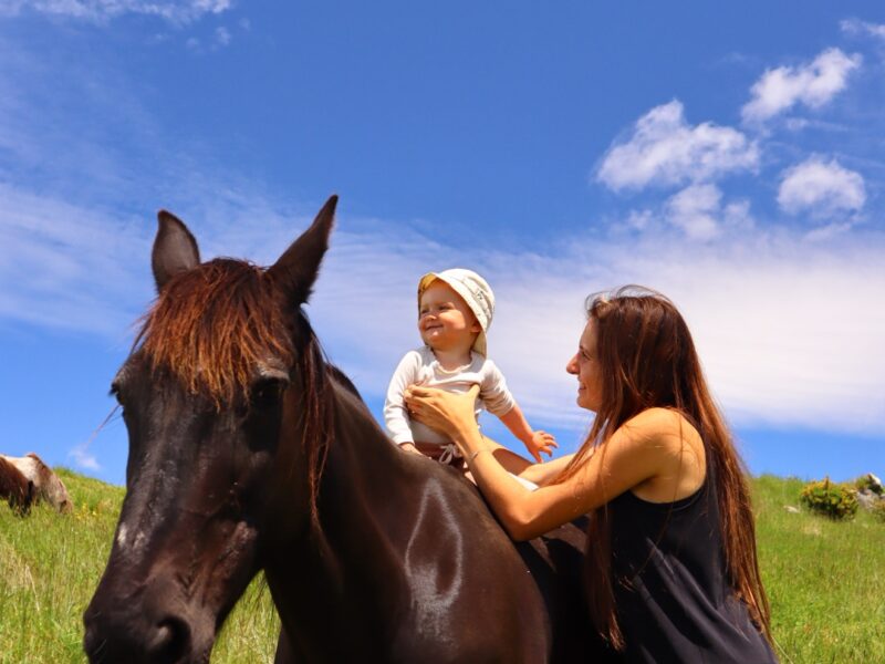 Settlers Camping Hut