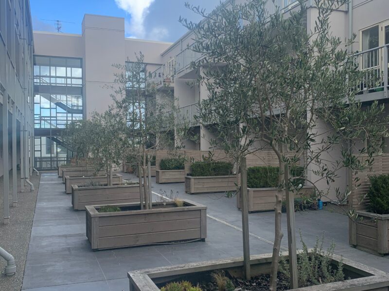 Family friendly Berhampore Apartment with indoor pool and gym