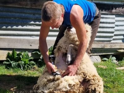 Settlers Camping Hut