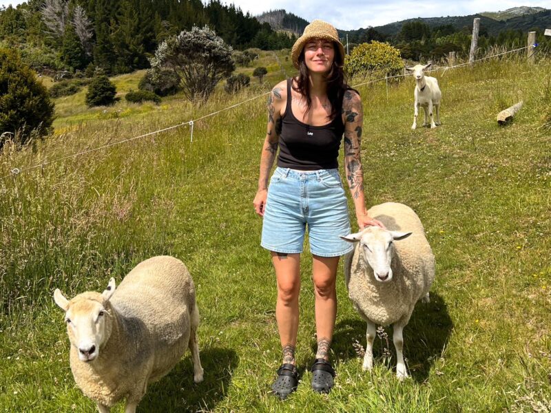 Settlers Camping Hut