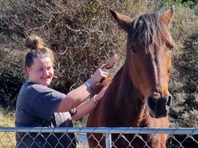Settlers Camping Hut