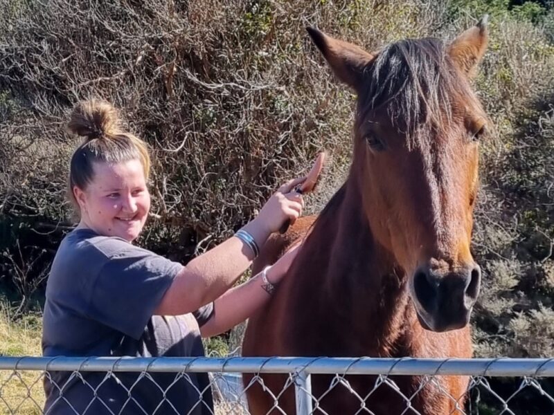 Settlers Camping Hut