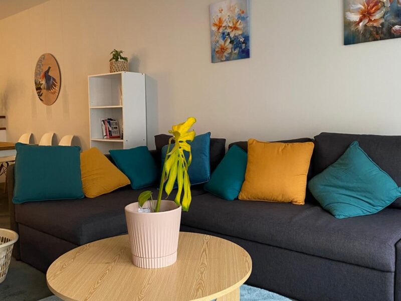 Family friendly Berhampore Apartment with indoor pool and gym