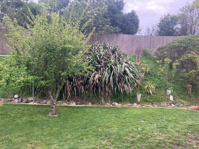 Large or Multiple Families Fun