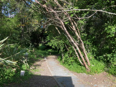 Large or Multiple Families Fun