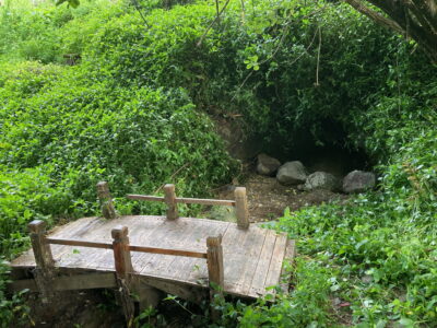 Large or Multiple Families Fun