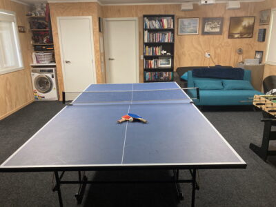 Large or Multiple Families Fun