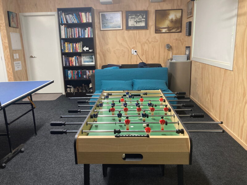 Large or Multiple Families Fun