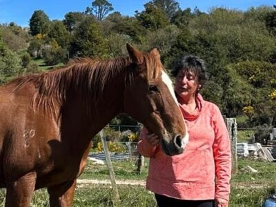 Settlers Camping Hut
