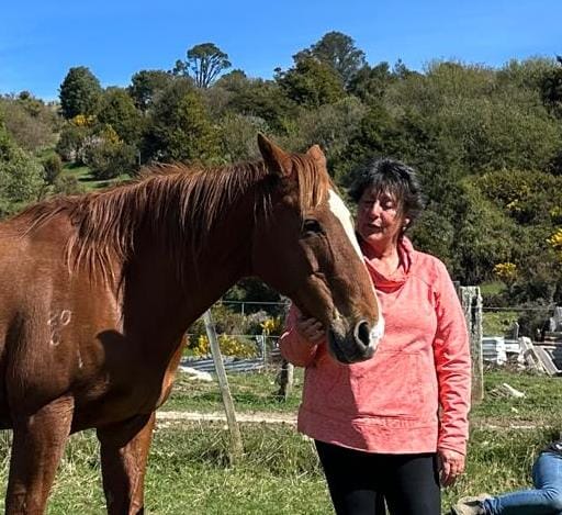 Settlers Camping Hut