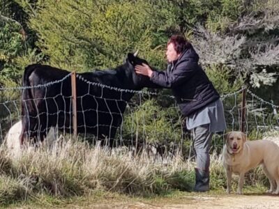 Settlers Camping Hut