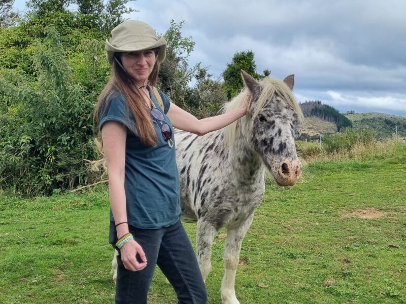 Settlers Camping Hut