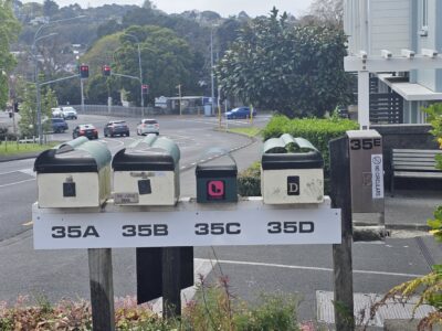 Lilypad of Three Kings Auckland