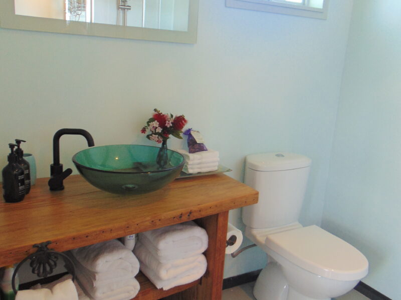 Raglan's Tranquil Garden Retreat at Moa Stone Estate