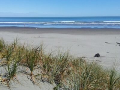 Seabury Lookout – Classic Kiwi Bach with Views suitable for all ages and stages!