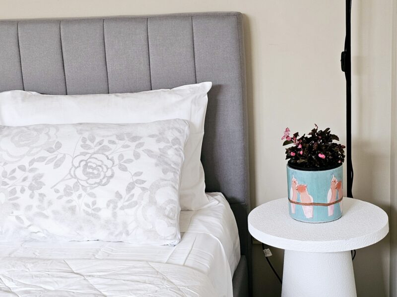 Lilypad of Three Kings Auckland