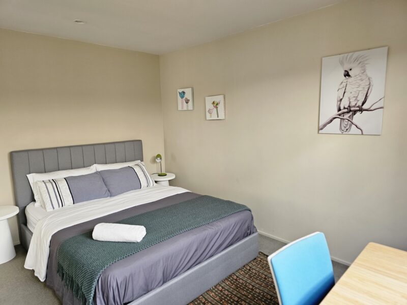 Lilypad of Three Kings Auckland