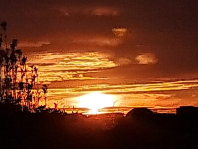 Seabury Lookout – Classic Kiwi Bach with Views suitable for all ages and stages!