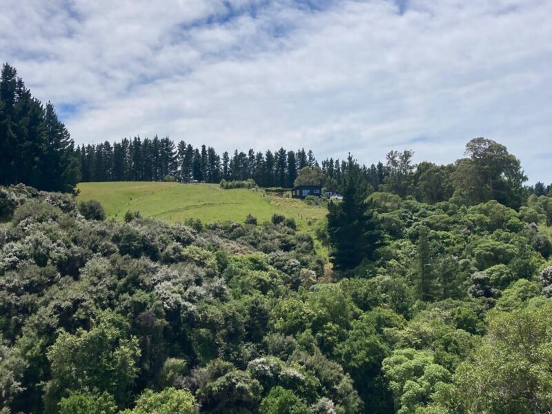 Cosy Coastal Bach with Ocean Views – Close to Gore Bay