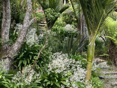Whananaki Hideaway Absolute Water Front.