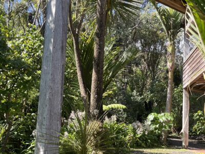 Whananaki Hideaway Absolute Water Front.