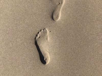 Cosy Coastal Bach with Ocean Views – Close to Gore Bay