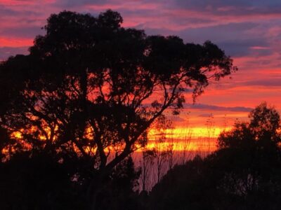 Cosy Coastal Bach with Ocean Views – Close to Gore Bay