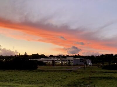 Taste of Tanzania One-Bedroom Suite