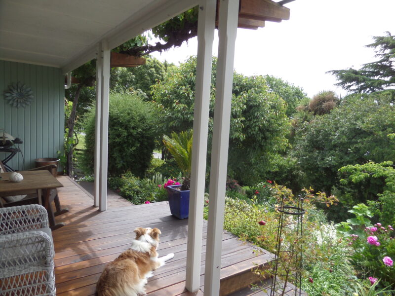 Teaneraki Cottage - Peaceful Cottage in Private Garden Setting