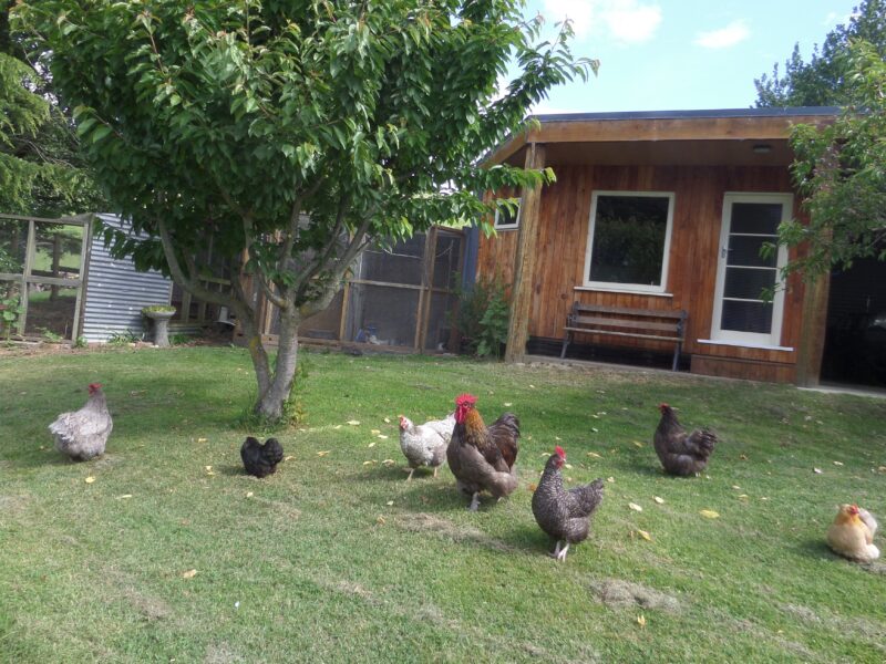 Teaneraki Cottage - Peaceful Cottage in Private Garden Setting