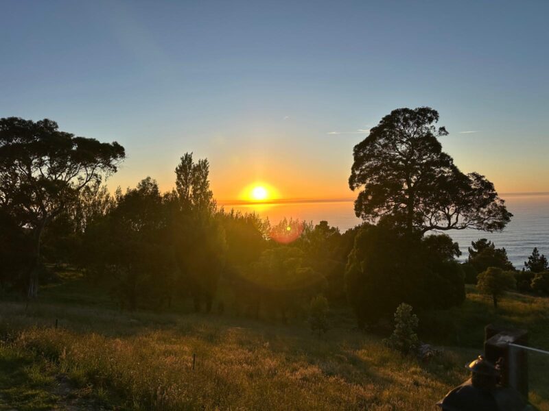 Cosy Coastal Bach with Ocean Views – Close to Gore Bay