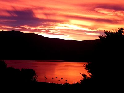 The Pack House Cabin