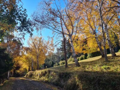 The Pack House Cabin