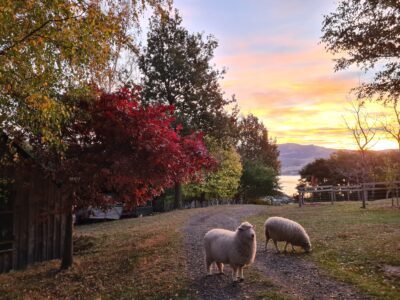 The Pack House Cabin
