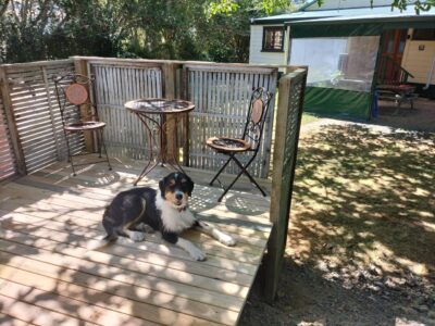 Karamu Homestead - our slice of bliss.