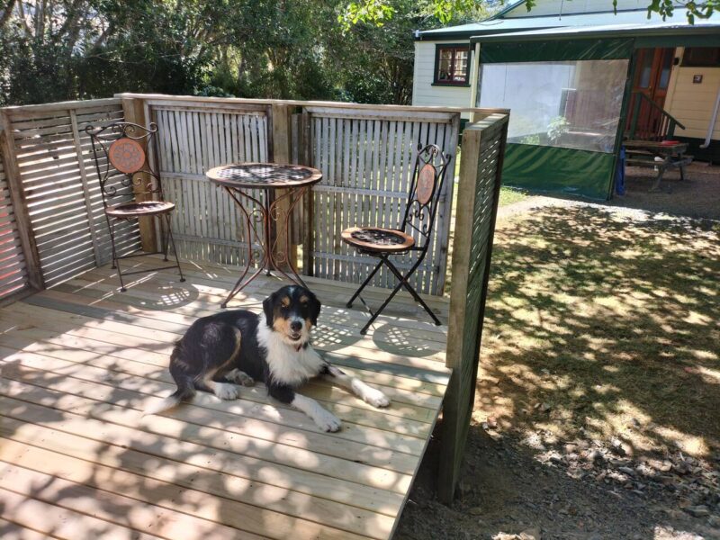 Karamu Homestead - our slice of bliss.