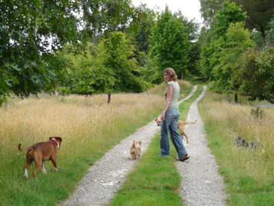 Tranquil Three Bedroom Cottage