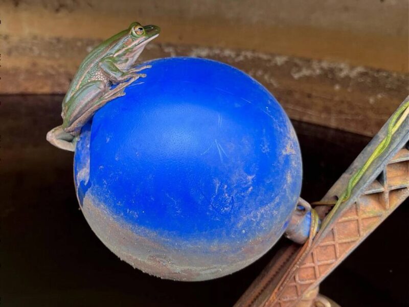 Karamu Homestead - our slice of bliss.