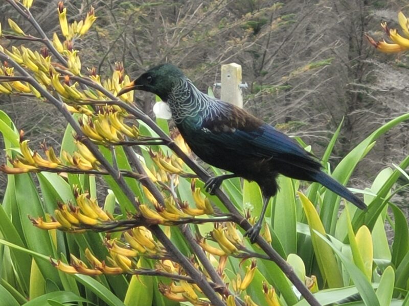 Country Luxury with Breathtaking Views