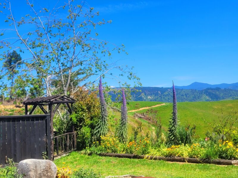 Country Luxury with Breathtaking Views